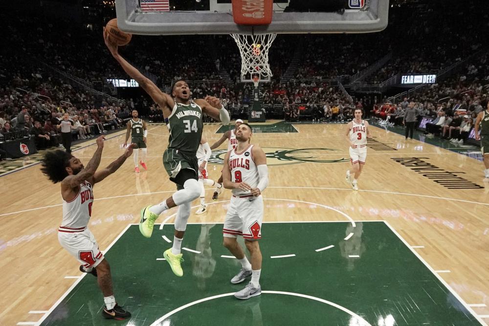 持续发展的 持续发展的