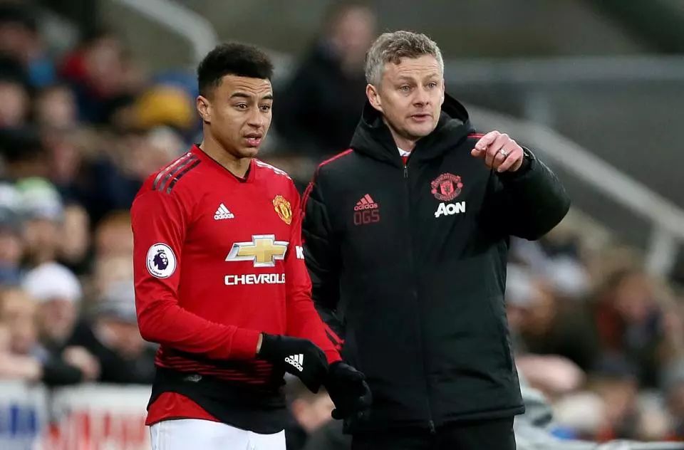 5年室内田 5年室内田